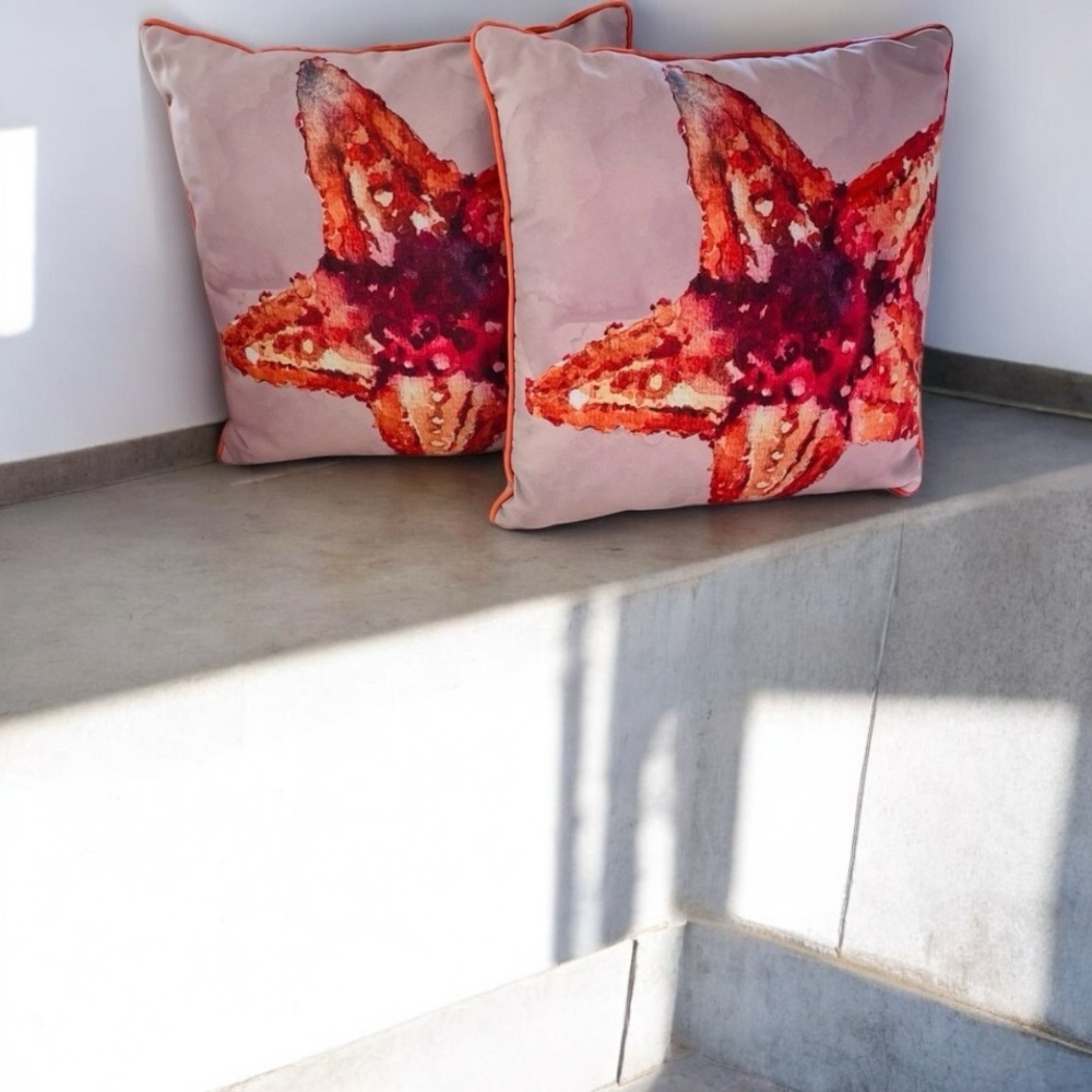 FRONTGATE NEW INDOOR OUTDOOR ACCENT PILLOWS 20 x 20